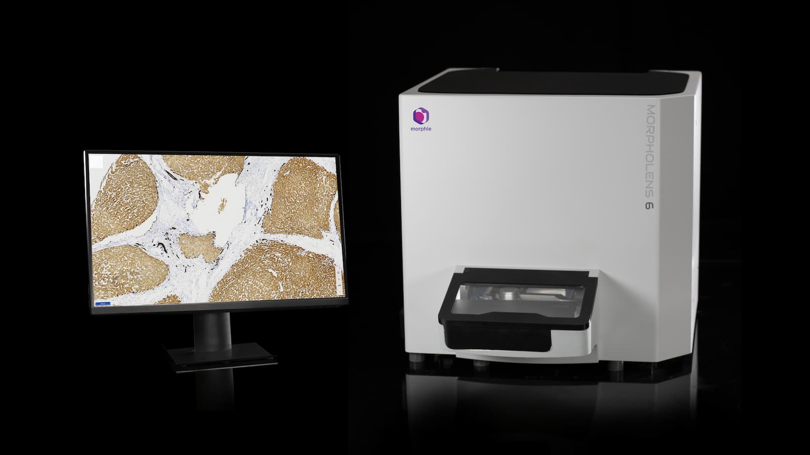 Morpholens 6 slide scanner Morphle Digital Pathology